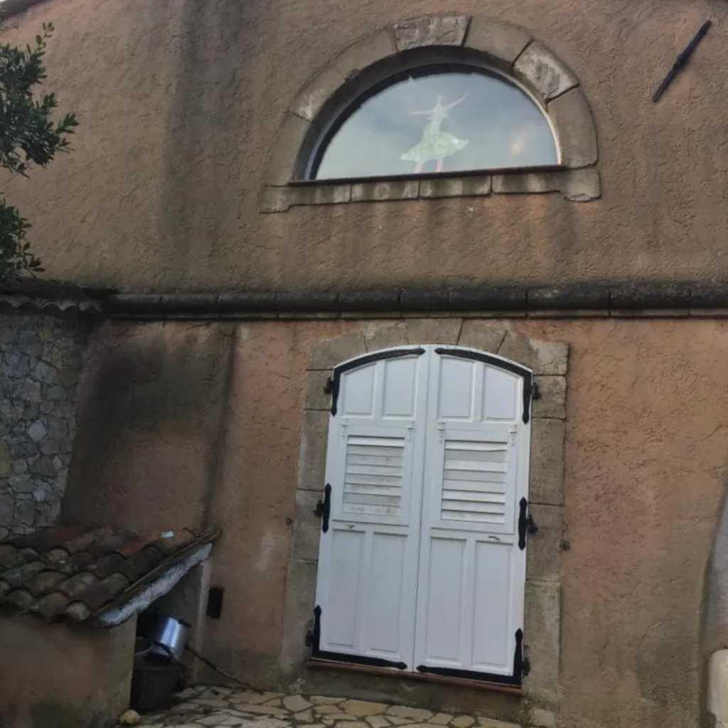 Une façade encrassée et colonisée
